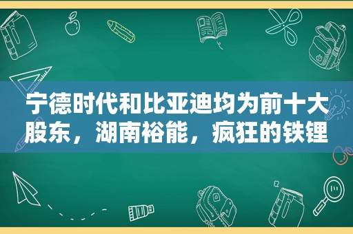 宁德时代和比亚迪均为前十大股东，湖南裕能，疯狂的铁锂正极龙头