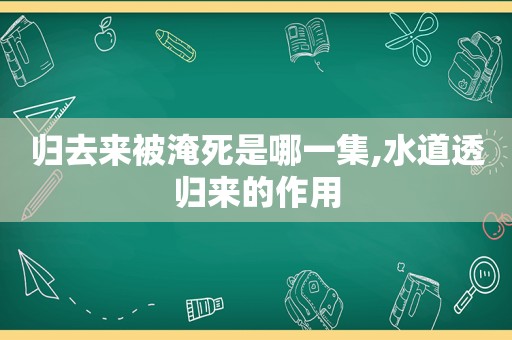 归去来被淹死是哪一集,水道透归来的作用