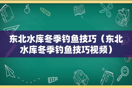 东北水库冬季钓鱼技巧（东北水库冬季钓鱼技巧视频）