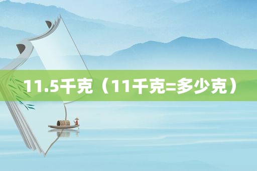 11.5千克（11千克=多少克）