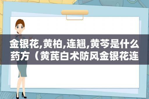 金银花,黄柏,连翘,黄芩是什么药方（黄芪白术防风金银花连翘芦根是什么药）