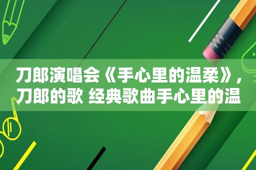 刀郎演唱会《手心里的温柔》,刀郎的歌 经典歌曲手心里的温柔