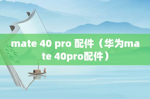 mate 40 pro 配件（华为mate 40pro配件）