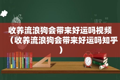 收养流浪狗会带来好运吗视频（收养流浪狗会带来好运吗知乎）