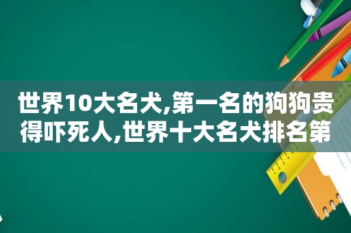 世界10大名犬,第一名的狗狗贵得吓死人,世界十大名犬排名第一