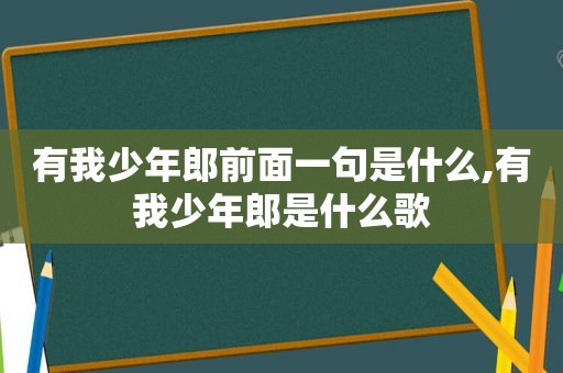 有我少年郎前面一句是什么,有我少年郎是什么歌