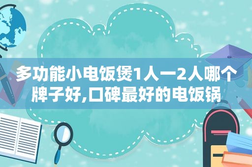 多功能小电饭煲1人一2人哪个牌子好,口碑最好的电饭锅