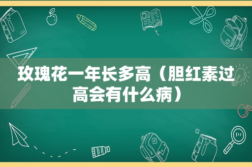 玫瑰花一年长多高（胆红素过高会有什么病）