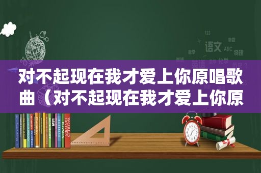 对不起现在我才爱上你原唱歌曲（对不起现在我才爱上你原唱）