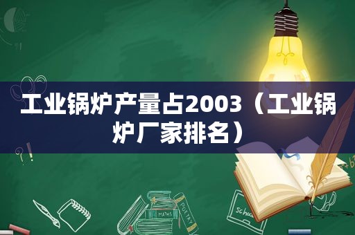 工业锅炉产量占2003（工业锅炉厂家排名）