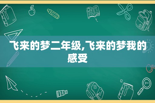 飞来的梦二年级,飞来的梦我的感受