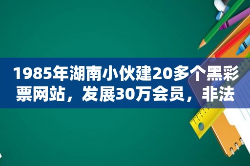 1985年湖南小伙建20多个黑彩票网站，发展30万会员，非法获利80亿