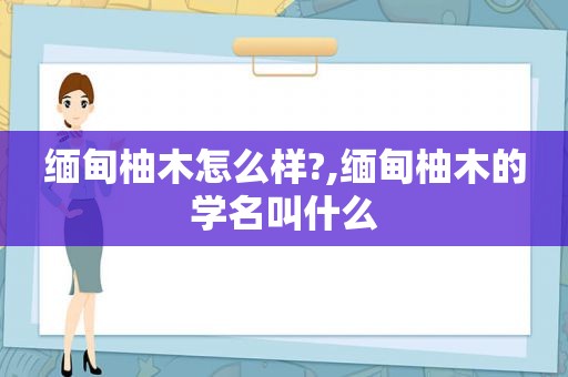  *** 柚木怎么样?, *** 柚木的学名叫什么