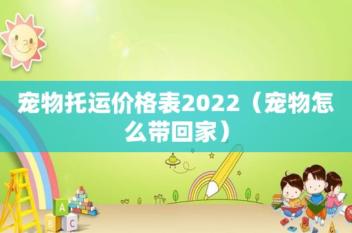 宠物托运价格表2022（宠物怎么带回家）