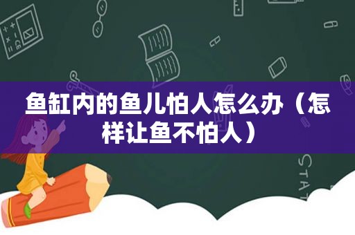 鱼缸内的鱼儿怕人怎么办（怎样让鱼不怕人）