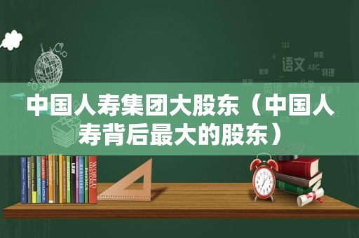 中国人寿集团大股东（中国人寿背后最大的股东）