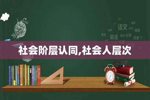 社会阶层认同,社会人层次