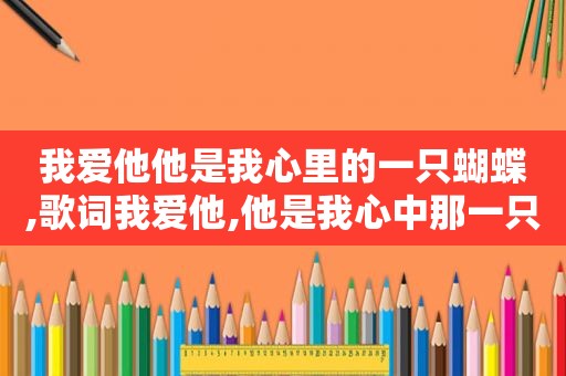 我爱他他是我心里的一只蝴蝶,歌词我爱他,他是我心中那一只蝶