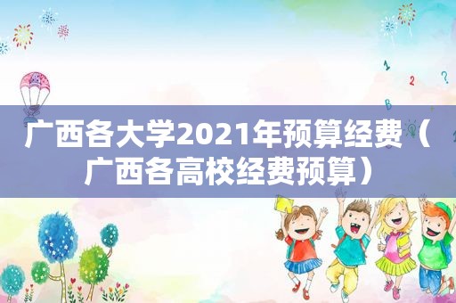 广西各大学2021年预算经费（广西各高校经费预算）