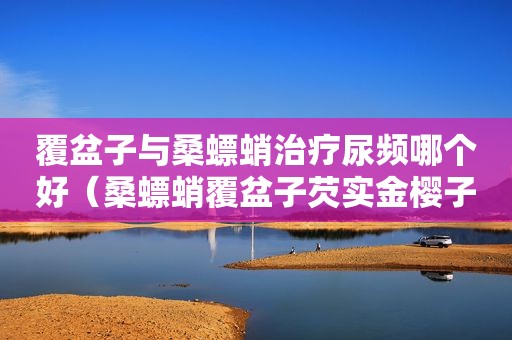 覆盆子与桑螵蛸治疗尿频哪个好（桑螵蛸覆盆子芡实金樱子什么方）