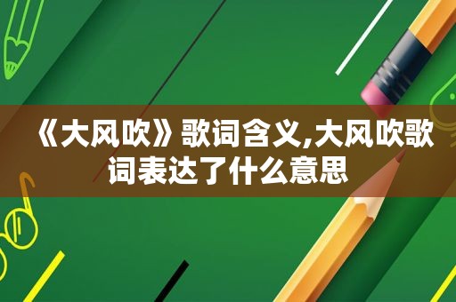 《大风吹》歌词含义,大风吹歌词表达了什么意思