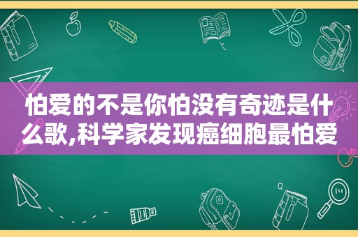 怕爱的不是你怕没有奇迹是什么歌,科学家发现癌细胞最怕爱