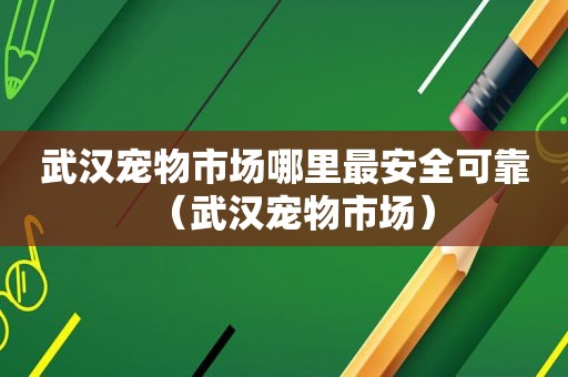 武汉宠物市场哪里最安全可靠（武汉宠物市场）  第1张