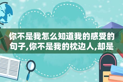 你不是我怎么知道我的感受的句子,你不是我的枕边人,却是我一生最爱的人