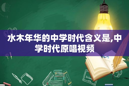 水木年华的中学时代含义是,中学时代原唱视频