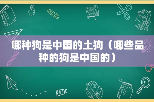 哪种狗是中国的土狗（哪些品种的狗是中国的）