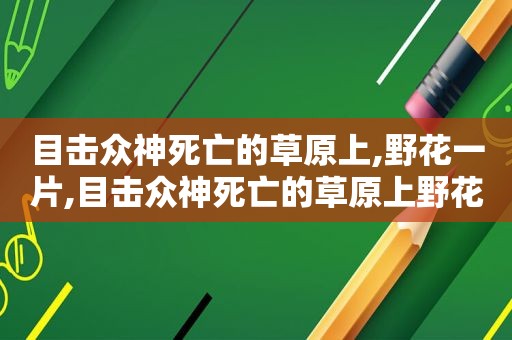 目击众神死亡的草原上,野花一片,目击众神死亡的草原上野花一片 狙击手