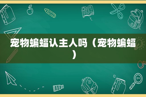 宠物蝙蝠认主人吗（宠物蝙蝠）