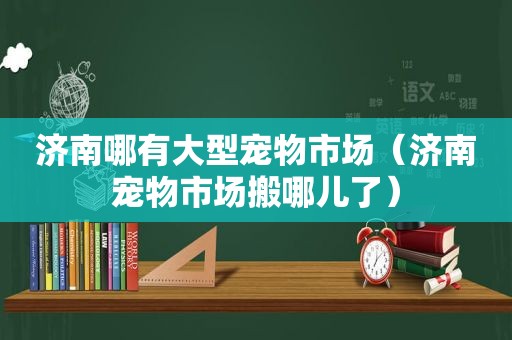 济南哪有大型宠物市场（济南宠物市场搬哪儿了）