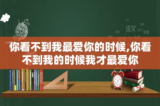 你看不到我最爱你的时候,你看不到我的时候我才最爱你