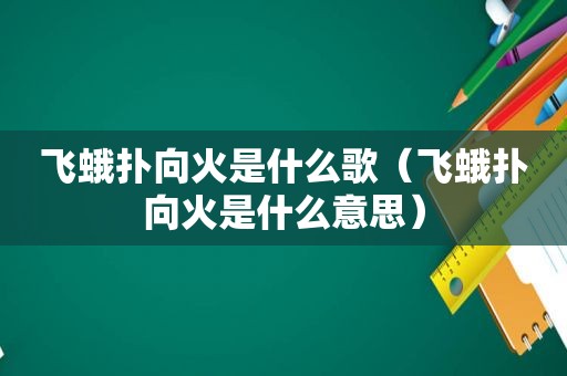 飞蛾扑向火是什么歌（飞蛾扑向火是什么意思）