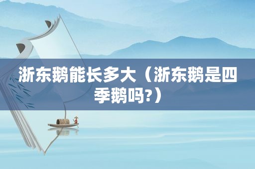 浙东鹅能长多大（浙东鹅是四季鹅吗?）