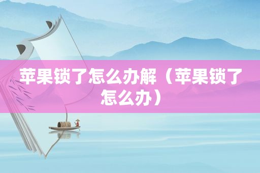 苹果锁了怎么办解（苹果锁了怎么办）