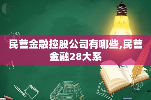 民营金融控股公司有哪些,民营金融28大系