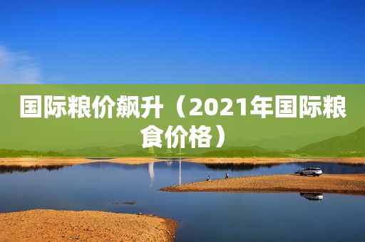 国际粮价飙升（2021年国际粮食价格）