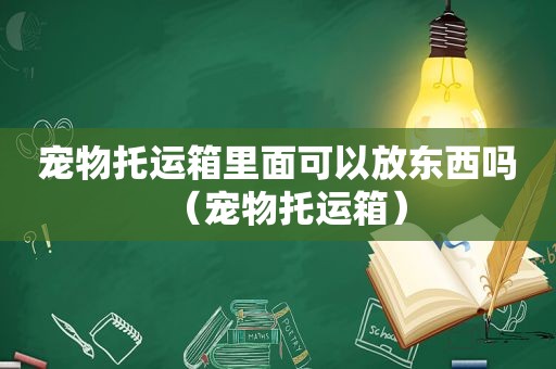 宠物托运箱里面可以放东西吗（宠物托运箱）