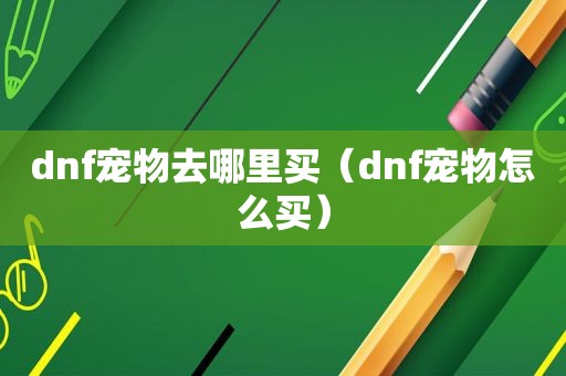 dnf宠物去哪里买（dnf宠物怎么买）