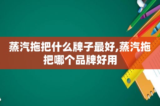 蒸汽拖把什么牌子最好,蒸汽拖把哪个品牌好用