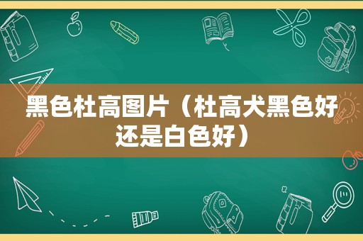 黑色杜高图片（杜高犬黑色好还是白色好）