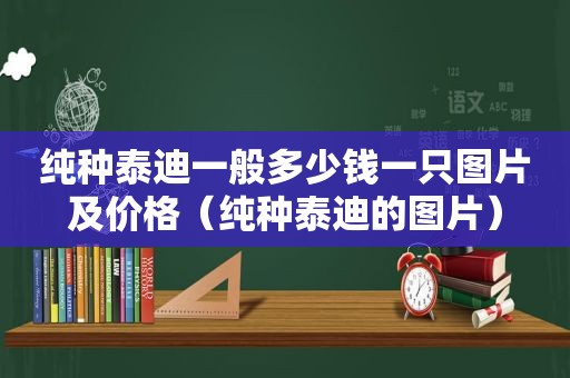 纯种泰迪一般多少钱一只图片及价格（纯种泰迪的图片）