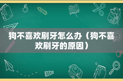 狗不喜欢刷牙怎么办（狗不喜欢刷牙的原因）