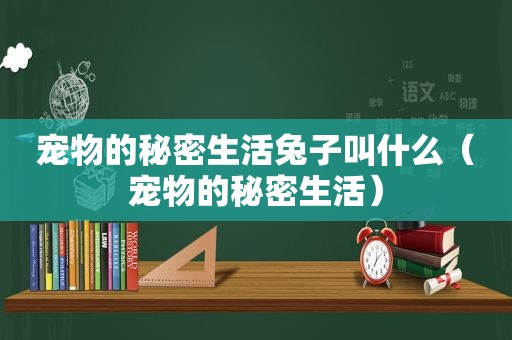 宠物的秘密生活兔子叫什么（宠物的秘密生活）