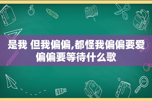 是我 但我偏偏,都怪我偏偏要爱偏偏要等待什么歌