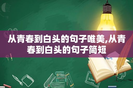 从青春到白头的句子唯美,从青春到白头的句子简短