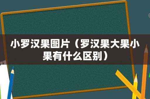 小罗汉果图片（罗汉果大果小果有什么区别）