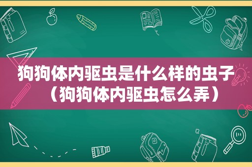 狗狗体内驱虫是什么样的虫子（狗狗体内驱虫怎么弄）